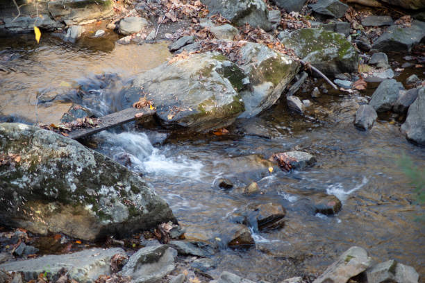 istock Foot bridge over a flowing woodland stream . 1297875640