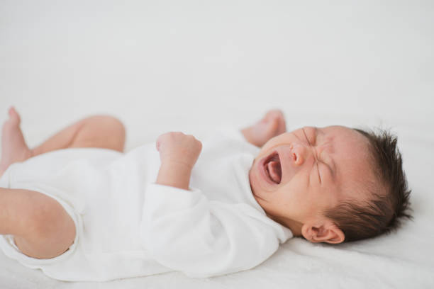 istock I'm hungry, where is my milk? 1297877501