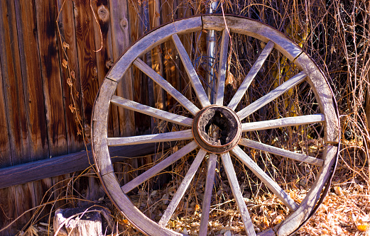 Wooden wagon wheel in green grass and weeds.