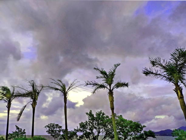 Sunset Landscape Florianópolis Beautiful landscape at North Bay in Florianopolis. With its magisterial beauty. Photo taken on 01/16/2021 in Florianópolis, Santa Catarina, Brazil. screen saver photos stock pictures, royalty-free photos & images