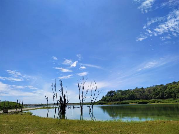 istock Blue sky view of the lake landscape 1297883322