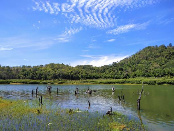 istock Blue sky view of the lake landscape 1297883340