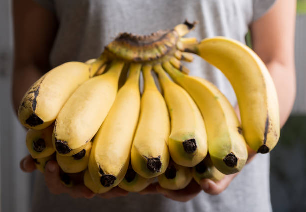 bündel von reifen bananen halten von hand - banana bunch yellow healthy lifestyle stock-fotos und bilder