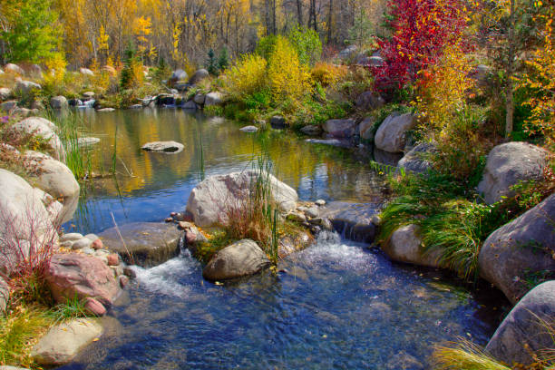 istock Small stream in fall-Near Aspen Colorado 1297886940