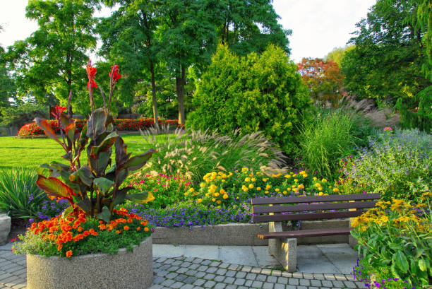 istock Beautiful Park Flowers-Brampton, Ontario, Canada 1297886995