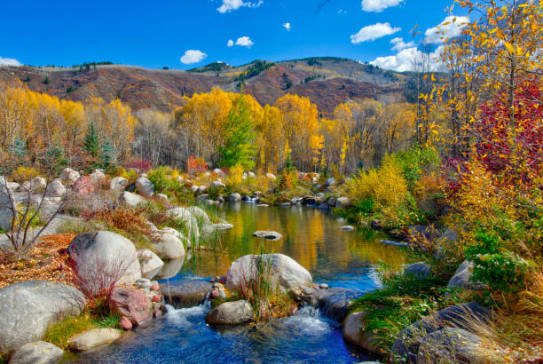 istock Beautiful Mountain Stream in fall-Near Aspen, Colorado 1297887093