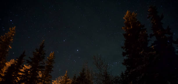istock Stars in the Night Sky 1297887224