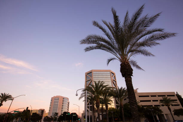 istock Santa Ana, California 1297890453