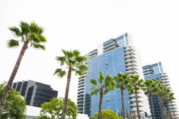 istock Santa Ana, California 1297894207