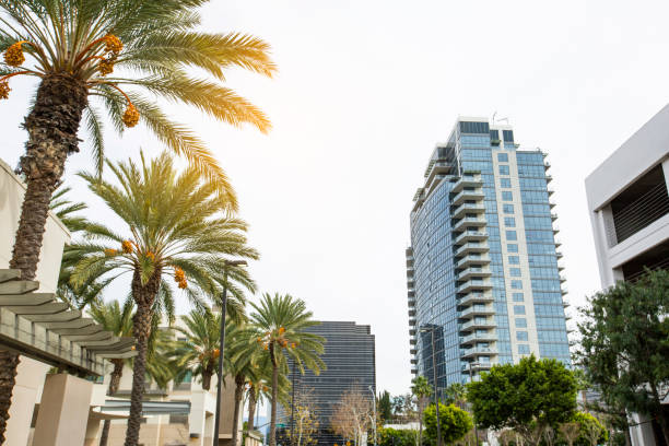 istock Santa Ana, California 1297894256