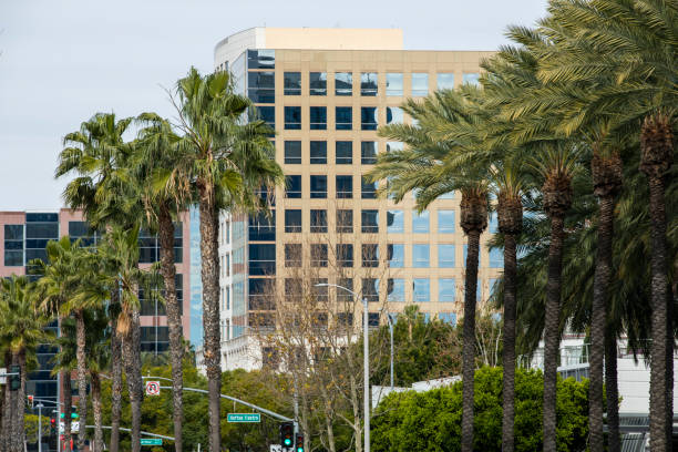istock Santa Ana, California 1297895052