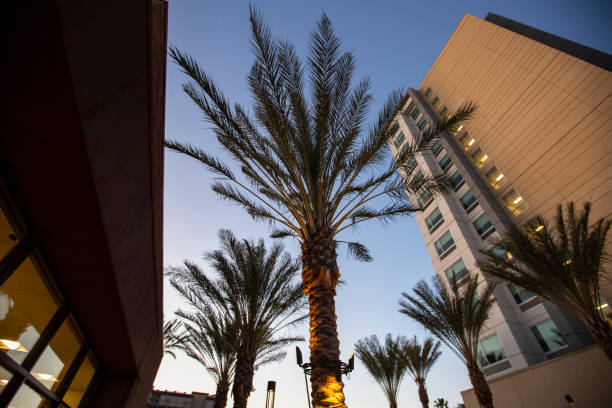 istock Anaheim, California 1297896147