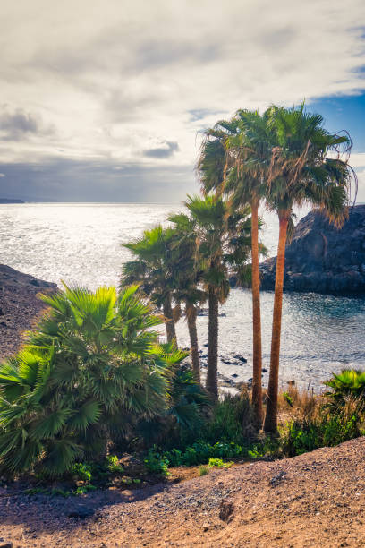 istock El Cotillo, Fuerteventura Spain 1297900189