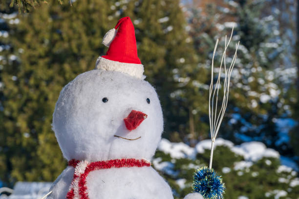 istock Funny snowman in red hat outdoors, close up portrait 1297902829
