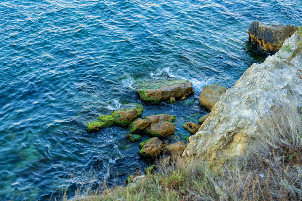 Picturesque coastline of the Black Sea. Crimea Russia summer stock photo