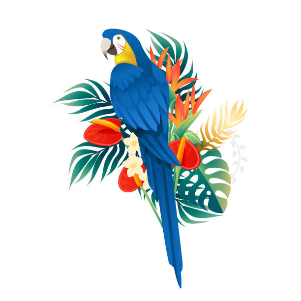 귀여운 마카오 앵무새는 녹색 잎과 빨간색 꽃 머리 만화 동물 디자인 평면 벡터 일러스트와 함께 앉아 흰색 배경에 고립 - 열대 조류 stock illustrations