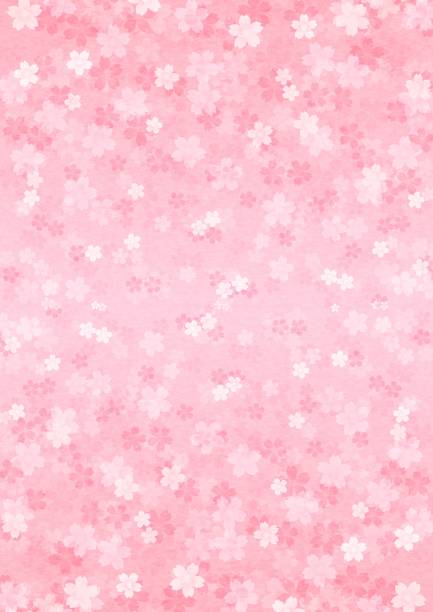 ilustrações, clipart, desenhos animados e ícones de ilustração de flores de cerejeira se espalhando para cima e para baixo na tela. - blossom cherry blossom tree white