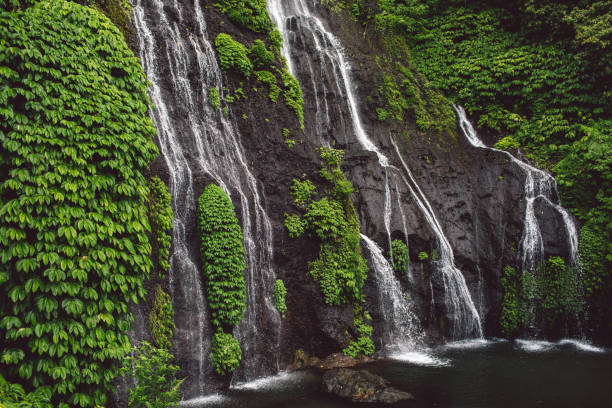 istock Scenic View Of Waterfall In Forest 1297913033