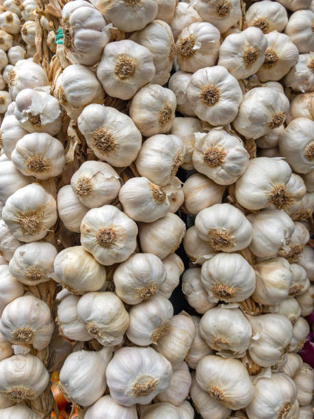 висячий чеснок - garlic hanging string vegetable стоковые фото и изображения