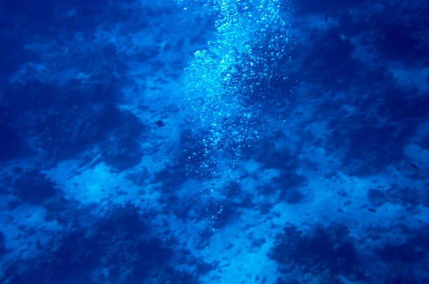 istock Air bubbles rise from the seabed 1297915819