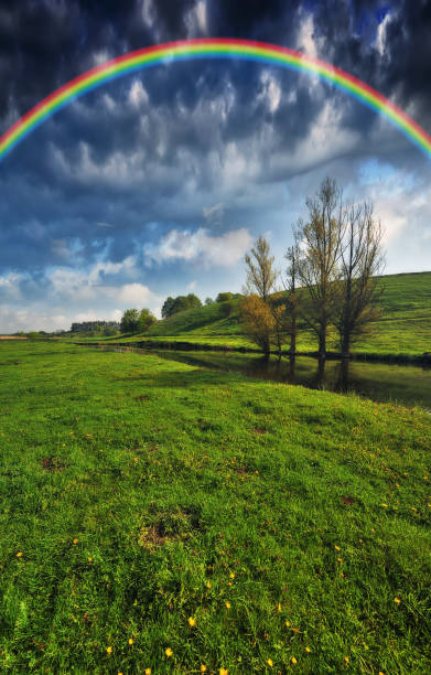istock Landscape with a Rainbow on the River in Spring. colorful morning 1297916005