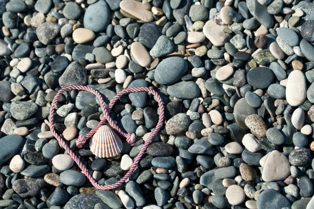 Background of gray beach stones with a seashell inside a pink heart shaped rope
