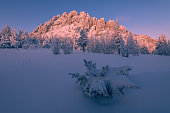 frostiger-wintermorgen-im-taganay-park-russland.jpg?b=1&s=170x170&k=20&c=BTHM1zIa3FhiAoB55SANowkpsgbi-c1o-C805rR9OnA=