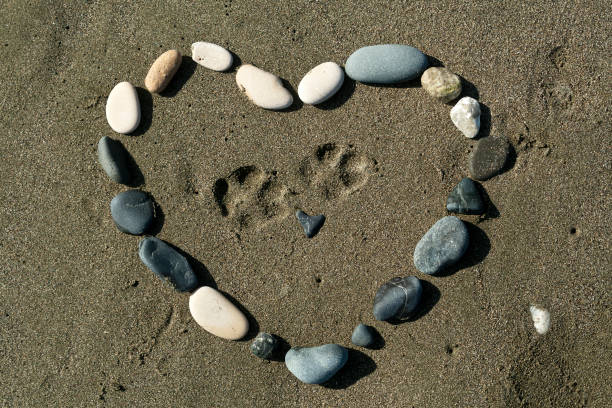 serce z kamieni plażowych na piasku - beach love heart shape two objects zdjęcia i obrazy z banku zdjęć