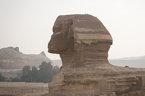 A shot of Sphinx in Giza
