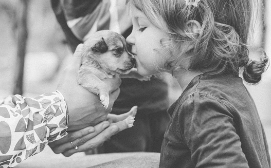 Cute little girl kissing small puppy outdoors, close up
