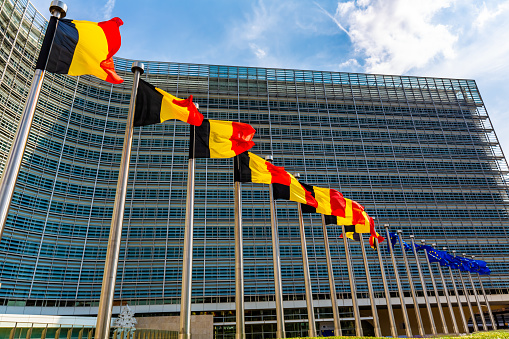 Belgian waving flag in portrait in front of a blue sunny sky