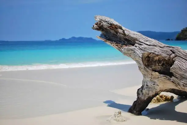 Wood carvings on a relaxing beach. Beautiful Thailand beach for vacation.