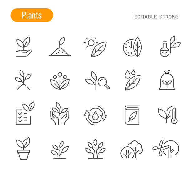 illustrazioni stock, clip art, cartoni animati e icone di tendenza di icone piante - serie linea - tratto modificabile - flora