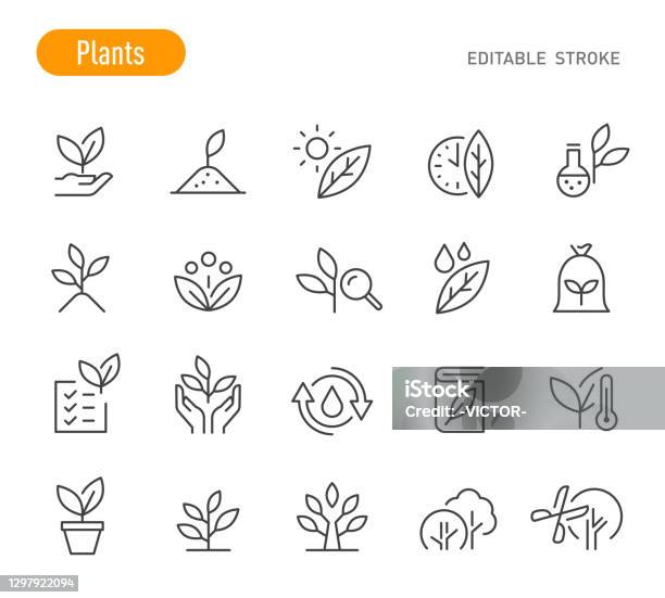 Plants Icons Line Series Editable Stroke - Arte vetorial de stock e mais imagens de Ícone - Ícone, Folha, Flora