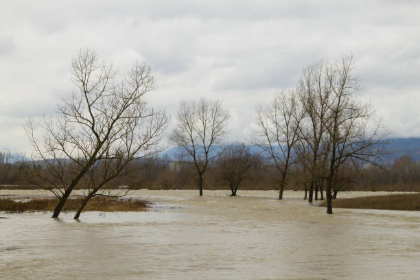 istock Brenta river flood. Italian rural landscape. 1297922357
