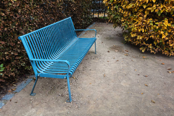 istock blue bench in the park alley 1297924683