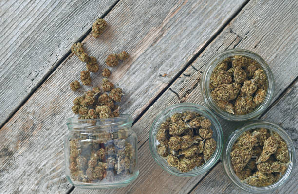 Dry and trimmed cannabis buds stored in a glas jars on a wooden table stock photo