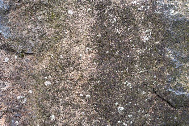 istock Textured stone background hard surface rock mountain trail 1297932027