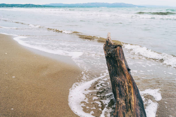 istock Lonely beach in the delta del ebro, tarragona, spain. 1297934728