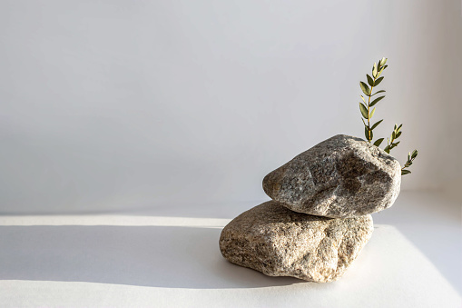 Natural stone stand with green leaves for presentation and exhibitions on grey background. Abstract trendy podium for organic cosmetic products. Minimal style.