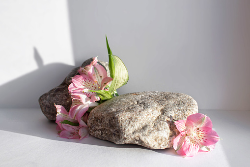 Natural stone stand with flowers for presentation and exhibitions on white background. Abstract trendy podium for organic cosmetic products. Minimal style.