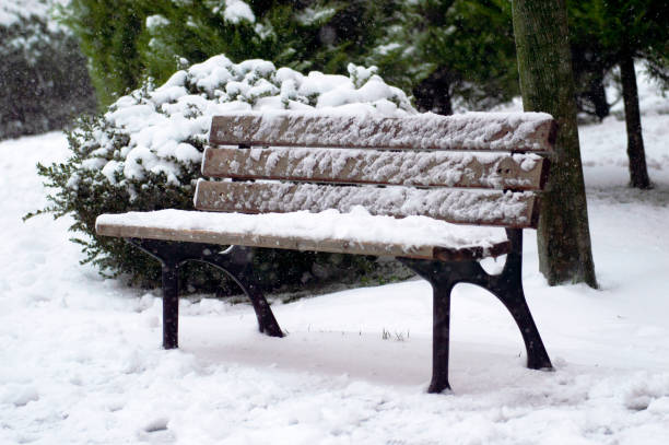 istock Snow on the wooden bench - Winter Background. 1297941278