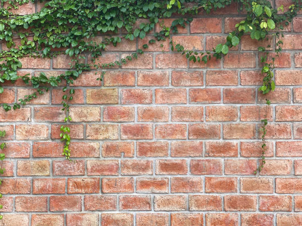 istock Leaves on brick wall for wallpaper 1297945961