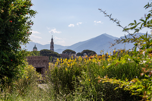 A view of the outskirts of the city of Pompeii against the backdrop of mountains and the bright blue Italian sky. The shot is framed by lush greenery.