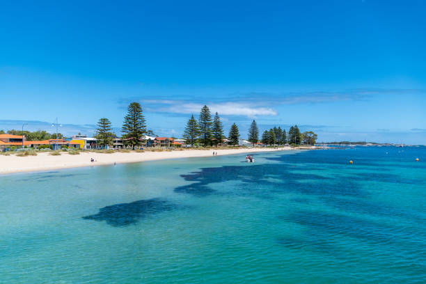 люди наслаждаются красотой палм-бич, mangles bay - australian seagull стоковые фото и изображения