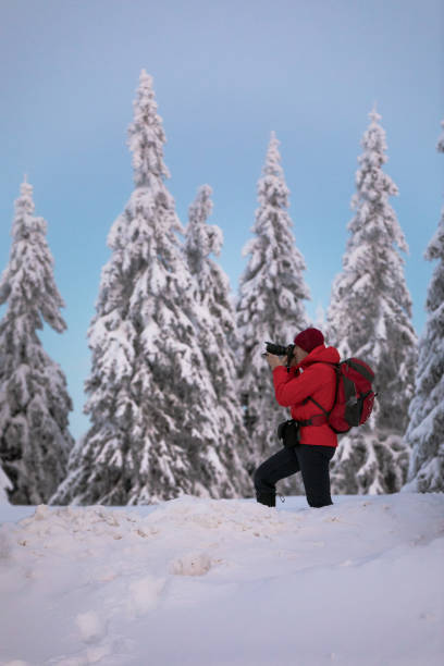 istock He likes taking photos of trees covered with snow. 1297956978