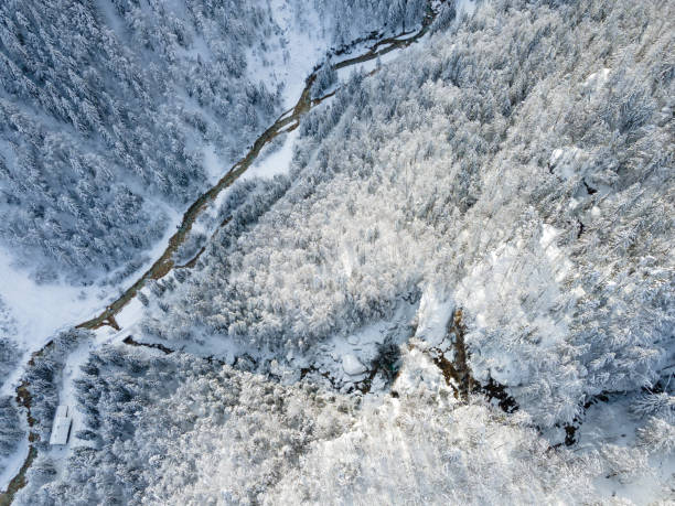 istock Snow Trail and river leading through Winter Forest, Bird's-Eye View 1297957002