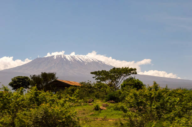 istock Snow capped Kenya's Kilimanjaro mountain 1297958361