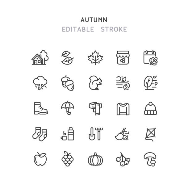 illustrations, cliparts, dessins animés et icônes de icônes de ligne d’automne course modifiable - écureuil