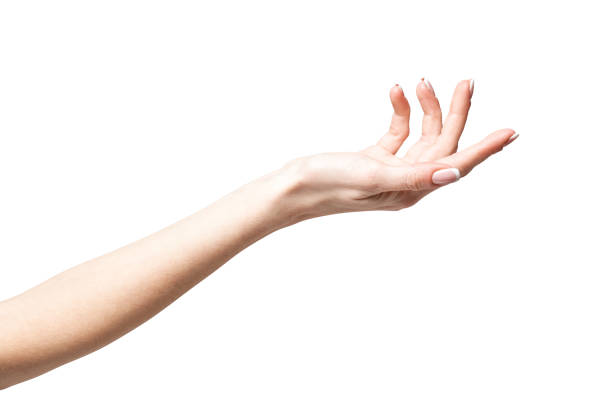 istock female hand poiting by finger isolated on white background with clipping path 1297960623